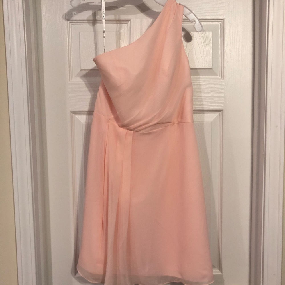 David’s Bridal Dress